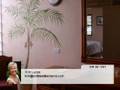 videos de Homes for Sale Christiansted  Kim Lucas
