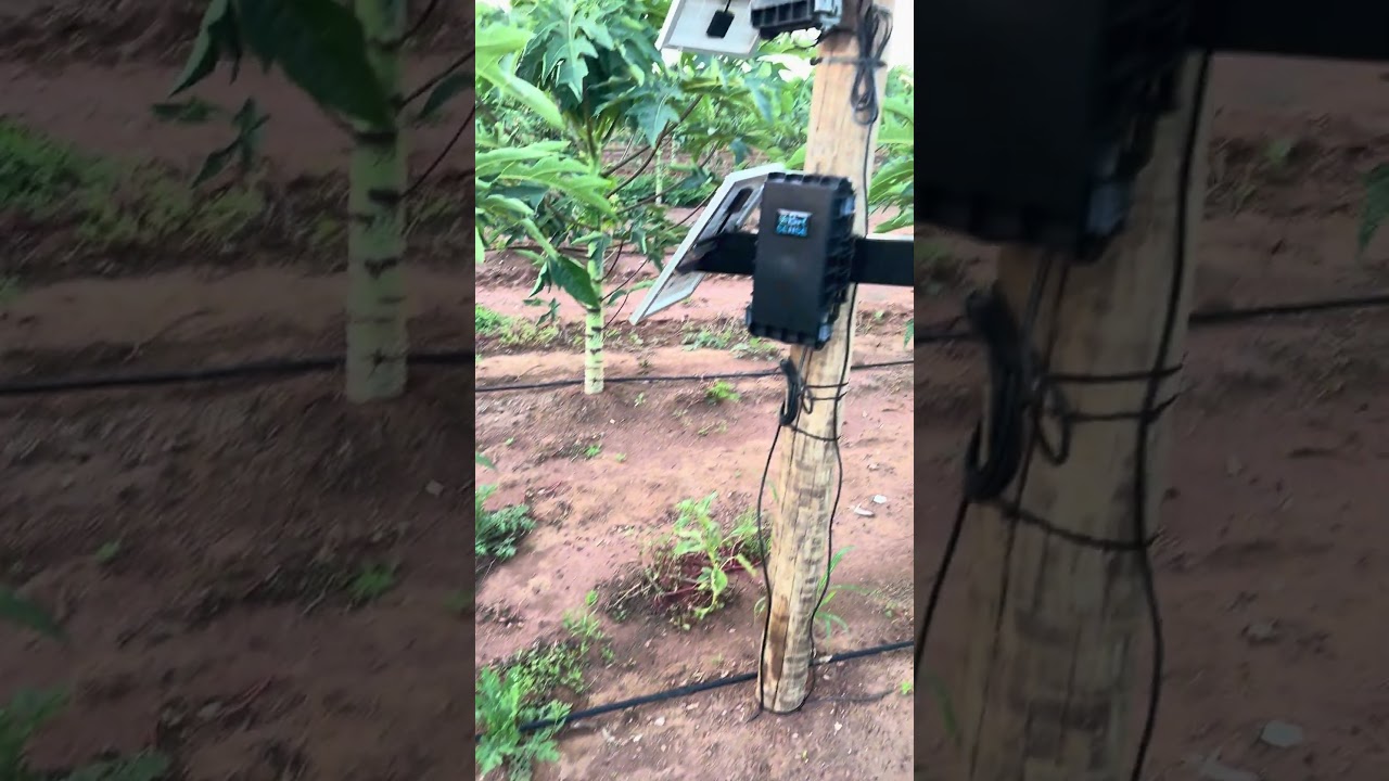 Já conhece a BR Sense?