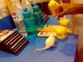 trainnig a white mouse
