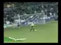 شي حلو ورايق