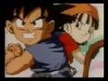 amv-DEATH dragon ball-A.N.I..M.A.L-revolusion- Dark Death