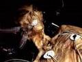 unexplained mysteries- real or hoax?