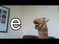 View Video