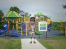 Character Animation