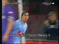 napoli-fiorentina 2-0 goal del pocho loco lavezzi auriemma