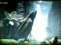 Here im benchmarking FC2 with everything on ultra.very impressing for a one year old card that it get between 26/34 FPS. (soon i gonna overclock it)And then run a new benchmark. So keep watchingLeave a message and feedback !