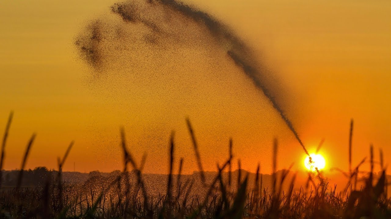 To Avoid Boiling the Earth, we Need a New Agriculture: Farming emits 1/3 of Greenhouse Gases