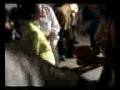 videos de Mamita Elva bailando un huayno bien peruano