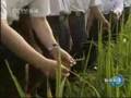 温家宝广西考察 强调保持经济平稳较快发展