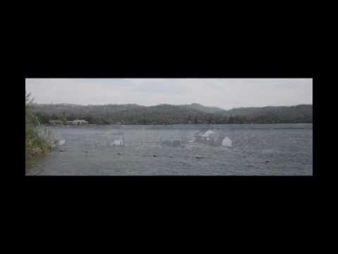 how to use dissolve in a sentence