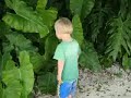 Down syndrome:&nbsp;Down Syndrome: Always stop to smell the roses!