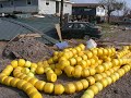 Katrina Destruction
