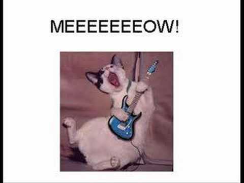 Sonata Arctica - Respect The ...