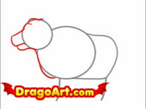 how to draw oxen
