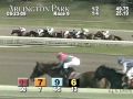 ARLINGTON PARK, 2009-05-23, Race 9