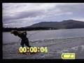 videos de Fun Dock Tables Worm
