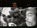 8Off Featuring Mr. Cheeks from The Lost Boys - Peach Cognac