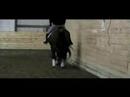 Coolman is three-year-old Bavarian warmblood. He stands at 16.1 hands. This video shows him free-lunging and jumping, as well as doing flatwork under saddle. Price: $48,000. Serious inquiries only, please.