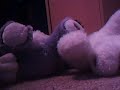 C&C EXTRA: a normal webkinz day