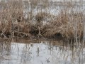 slideshow compilation