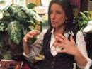 sonja kennedy of retail bc talks to edie & richard about the success of their business, edie hats