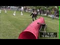 Llesca-19052012