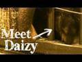 NATURE | Meet Daizy | KNME