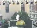 More Bounce