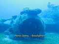 Naxos Diving - Beaufighter TF Mk - X. Wreck