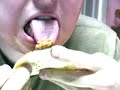 1 guy 1 lunchable 1 guy 1 lunchable