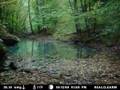 videos de Fall Time Lapse