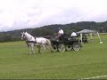 Driving comepetition in Levec, Slovenia