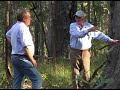 The regrowth forest next to Logan City