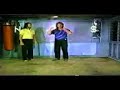 MTG3: Tai Chi: Pauchui/Canon Fist Form Erle Montaigue