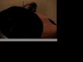 Mexican Osama Brothers Take Cat Hostage (Classic!) Mexican Osama Brothers Take Cat Hostage (Classic!)