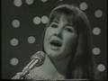 free music video The Seekers free music video