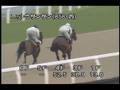 videos de [調教] 081008 ニットウサンサン 「新馬」前追い切り