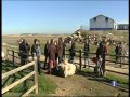 Click para Ver : Visita de la Comisión Europea al proyecto LIFE Humedales de La Mancha