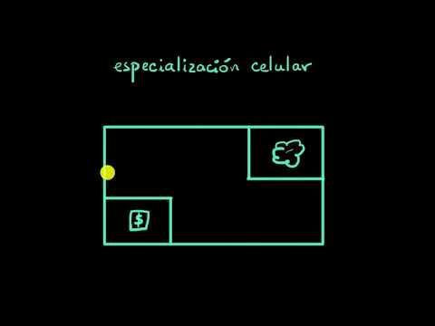 Especialización celular