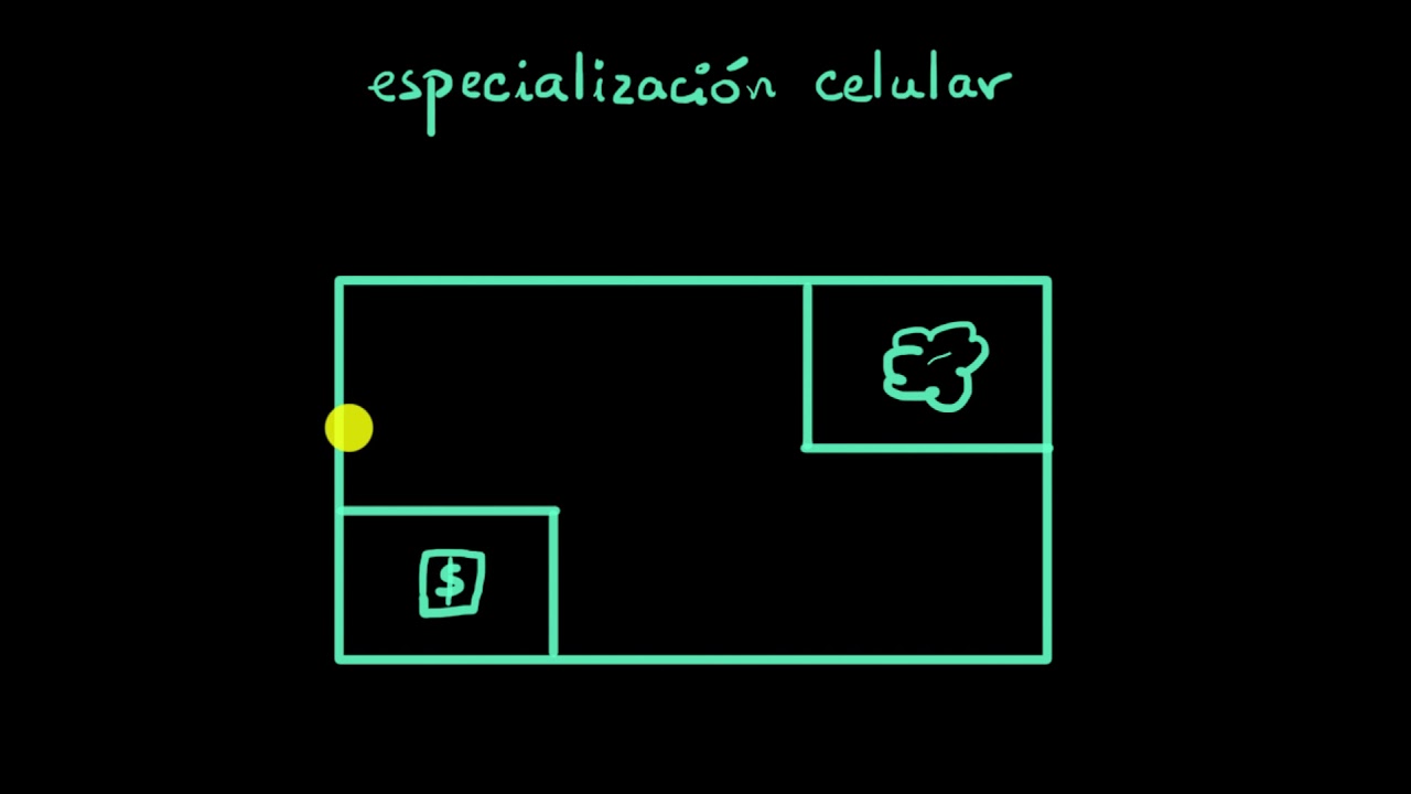 Especialización celular