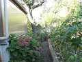 zozios de mon jardin