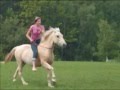 Riding and jumping bridleless, bareback- Viky & amazing horse Sheriff