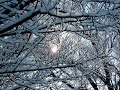~ Artemis remix ~ sugizo - briliant europa ~ Artemis remix ~ sugizo - briliant europa