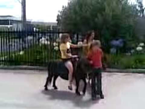ponyriding