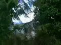 Hood Canal Real Estate, Union Washington, view building lot Hood Canal Real Estate, Union Washington, view building lot