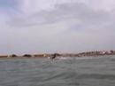 petit saut sympa