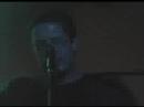 Antenna - Mi Cascabel