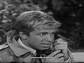Weird Wild World of Dr Goldfoot ( 2 of 3)