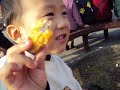 照片 412.avi