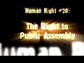 youth for human rights